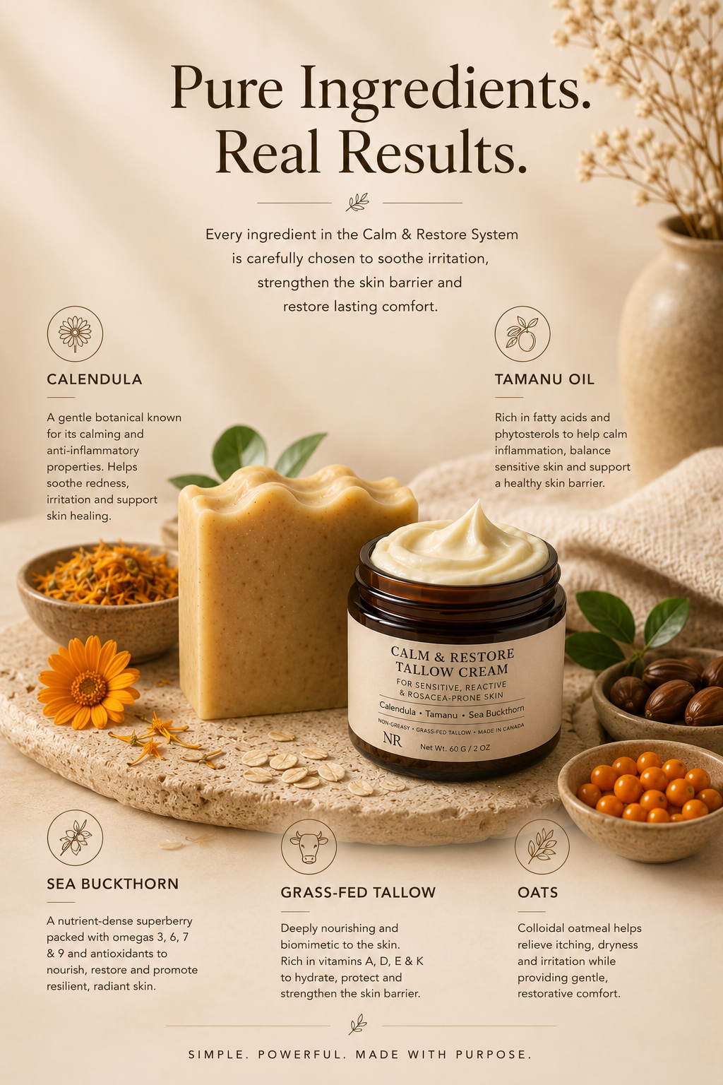 Calm & Restore System – Gentle Routine for Redness & Reactive Skin